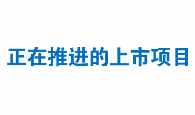 正在推进的上市项目—美国（2021年）